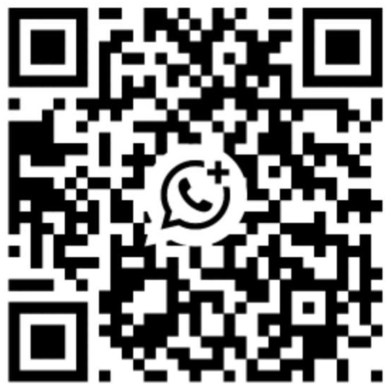 www.bohuiintl.com